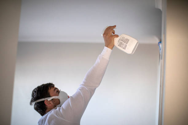 Best Attic Mold Removal  in Edgewood, IN