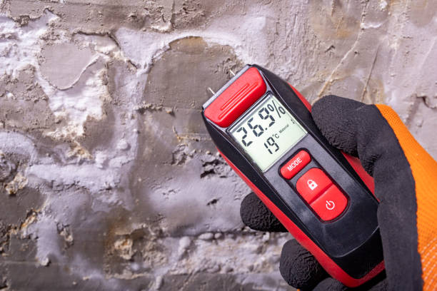 Best Mold Removal and Inspection  in Edgewood, IN