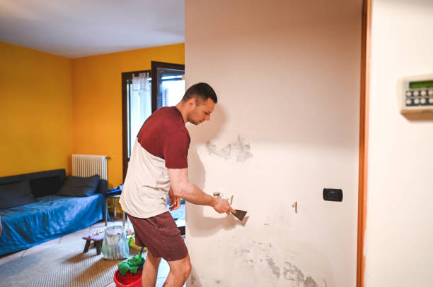 Mold Removal and Inspection in Edgewood, IN